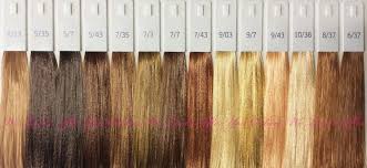 Illumina Color Wella Come Si Usa