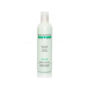 Hairconcept Professional Anti-Grease, Sampon anti-ingrasare a parului, 250ml
