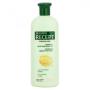 Sampon Subrina Professional Recept Strong Hair, Par cu tendinta de cadere, 400ml