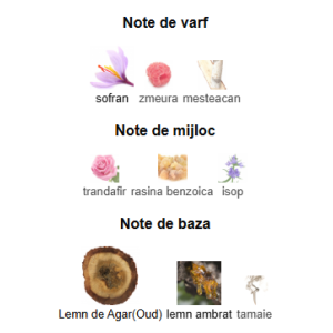 LABOR8 BINA 363, Unisex, Eau De Parfum, 30ml