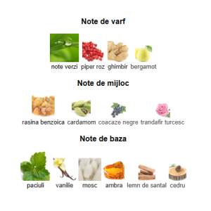 LABOR8 HOD 881, Unisex, Eau De Parfum, 50ml