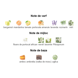 LABOR8 TIFERET 636, Unisex, Eau De Parfum, 100ml